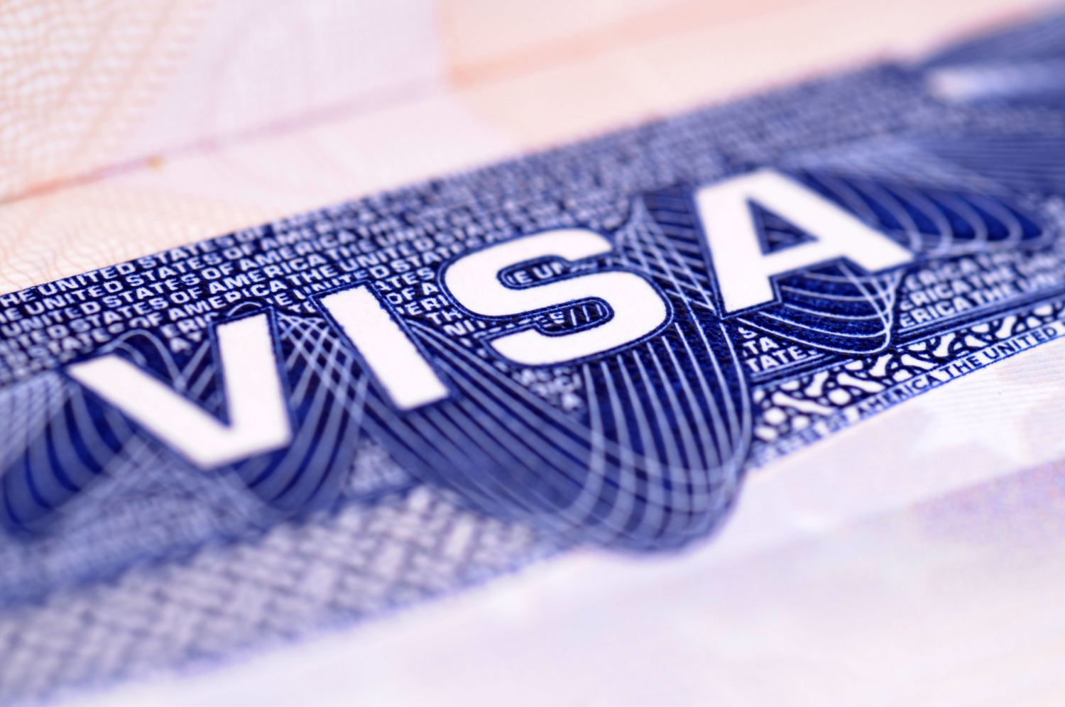 Visa Renewals